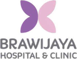 RS Brawijaya